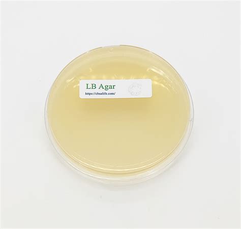 how to pour lb agar